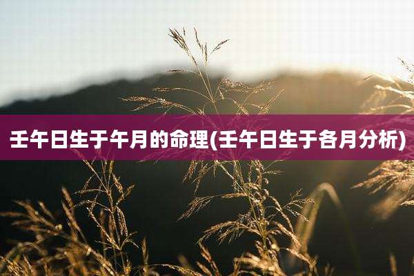 壬午日生于午月的命理(壬午日生于各月分析)