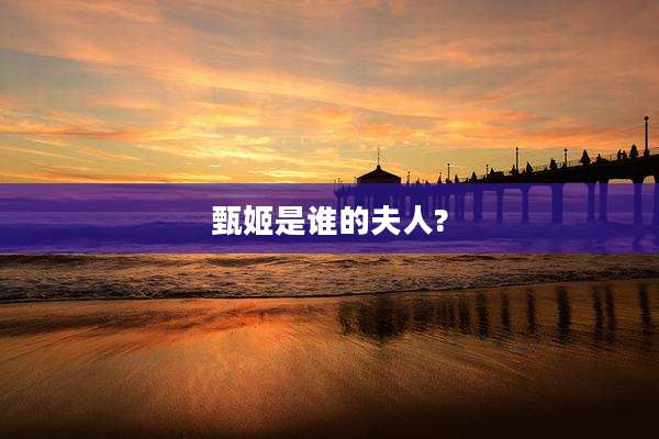 甄姬是谁的夫人?
