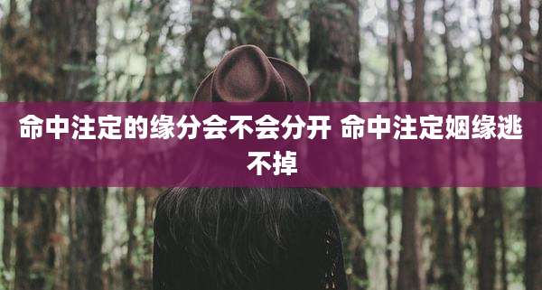 命中注定的缘分会不会分开 命中注定姻缘逃不掉