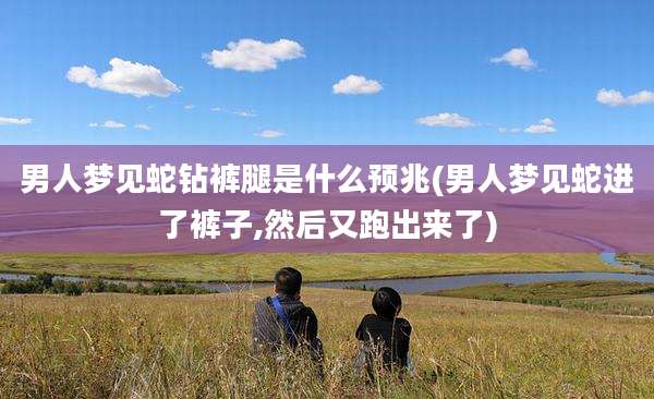 男人梦见蛇钻裤腿是什么预兆(男人梦见蛇进了裤子,然后又跑出来了)