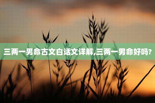 三两一男命古文白话文详解,三两一男命好吗?