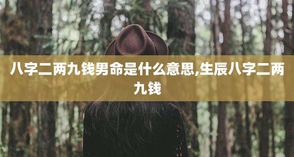八字二两九钱男命是什么意思,生辰八字二两九钱