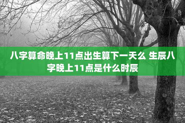 八字算命晚上11点出生算下一天么 生辰八字晚上11点是什么时辰