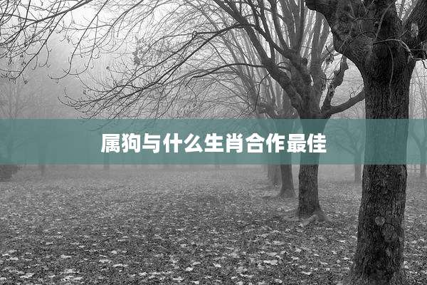 属狗与什么生肖合作最佳