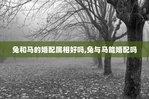 兔和马的婚配属相好吗,兔与马能婚配吗