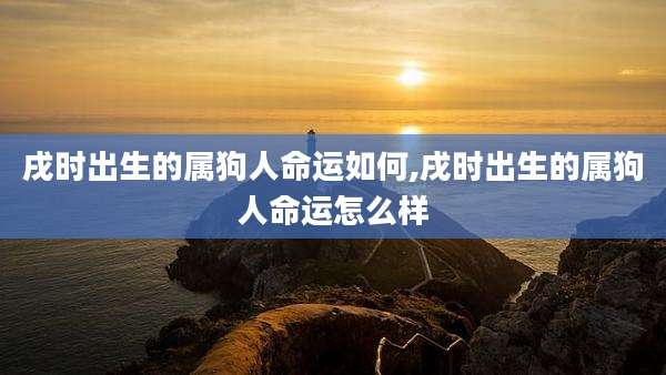 戌时出生的属狗人命运如何,戌时出生的属狗人命运怎么样
