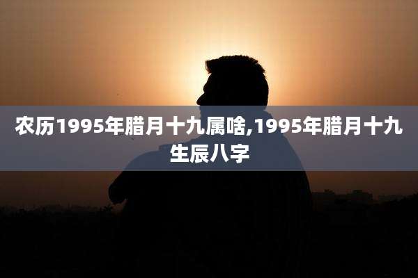 农历1995年腊月十九属啥,1995年腊月十九生辰八字