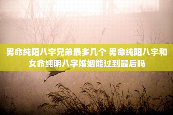 男命纯阳八字兄弟最多几个 男命纯阳八字和女命纯阴八字婚姻能过到最后吗