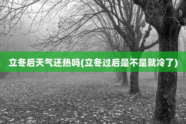 立冬后天气还热吗(立冬过后是不是就冷了)