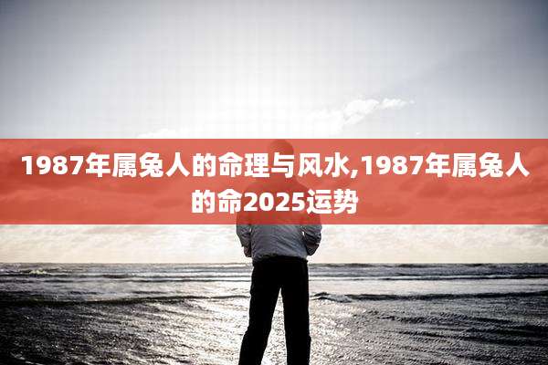 1987年属兔人的命理与风水,1987年属兔人的命2025运势