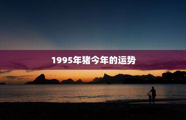 1995年猪今年的运势
