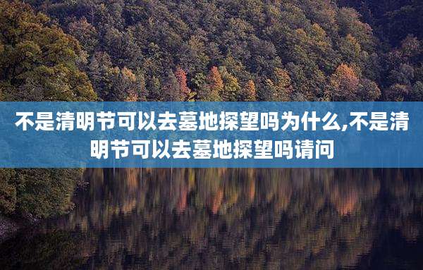 不是清明节可以去墓地探望吗为什么,不是清明节可以去墓地探望吗请问