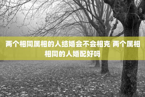 两个相同属相的人结婚会不会相克 两个属相相同的人婚配好吗