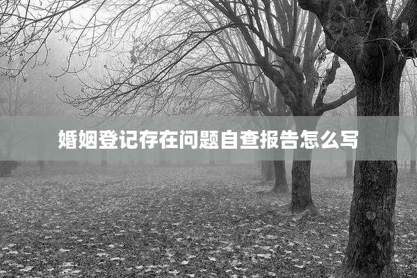 婚姻登记存在问题自查报告怎么写