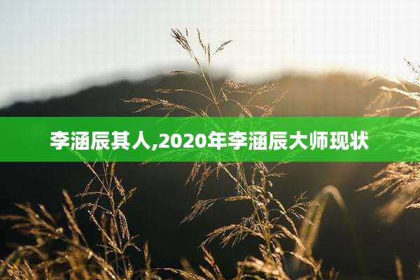 李涵辰其人,2020年李涵辰大师现状