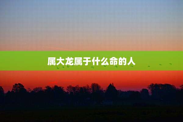 属大龙属于什么命的人