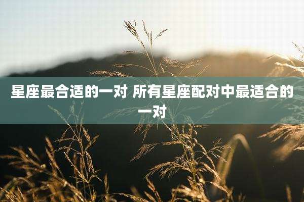 星座最合适的一对 所有星座配对中最适合的一对