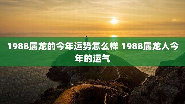 1988属龙的今年运势怎么样 1988属龙人今年的运气
