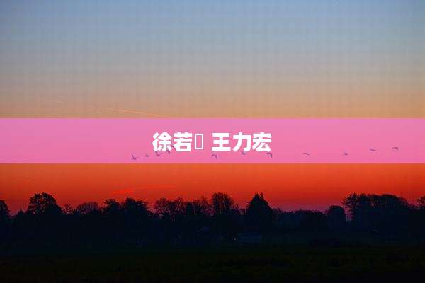徐若瑄 王力宏