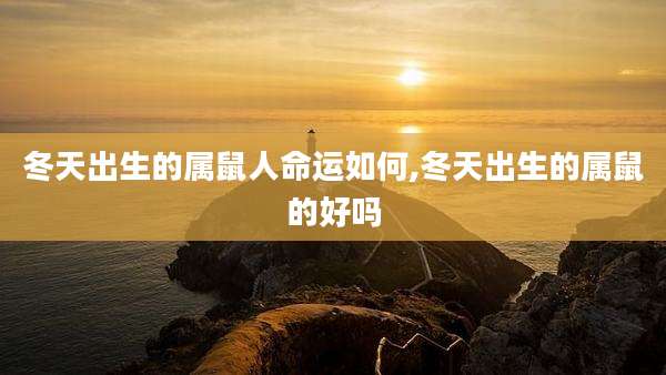 冬天出生的属鼠人命运如何,冬天出生的属鼠的好吗