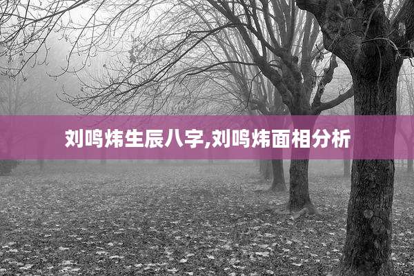 刘鸣炜生辰八字,刘鸣炜面相分析