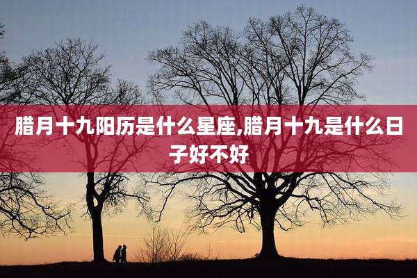 腊月十九阳历是什么星座,腊月十九是什么日子好不好
