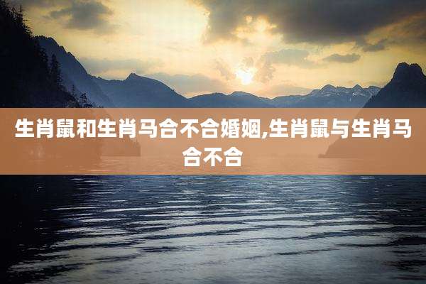 生肖鼠和生肖马合不合婚姻,生肖鼠与生肖马合不合