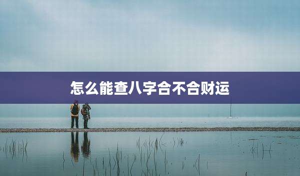 怎么能查八字合不合财运