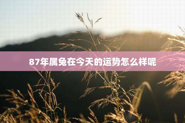 87年属兔在今天的运势怎么样呢