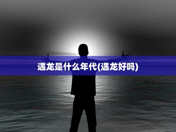 遇龙是什么年代(遇龙好吗)