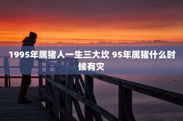 1995年属猪人一生三大坎 95年属猪什么时候有灾