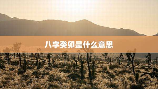 八字癸卯是什么意思