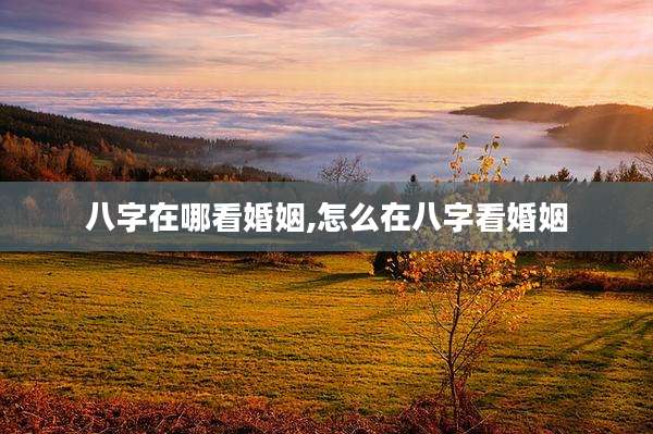 八字在哪看婚姻,怎么在八字看婚姻