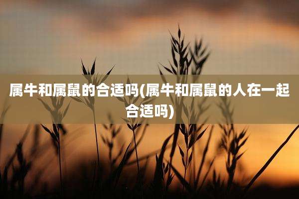 属牛和属鼠的合适吗(属牛和属鼠的人在一起合适吗)