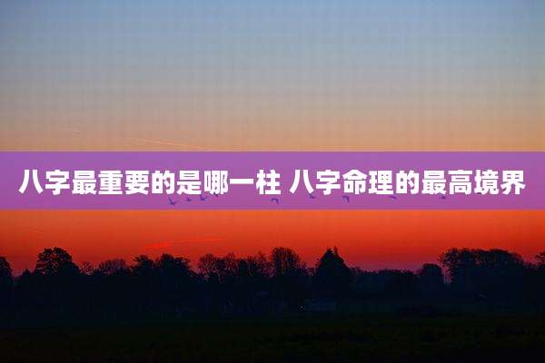 八字最重要的是哪一柱 八字命理的最高境界