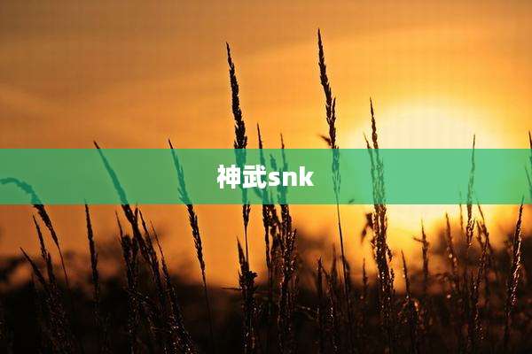 神武snk