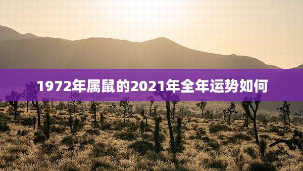 1972年属鼠的2021年全年运势如何