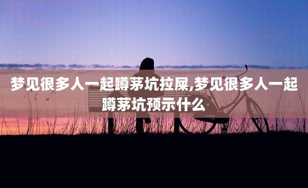 梦见很多人一起蹲茅坑拉屎,梦见很多人一起蹲茅坑预示什么