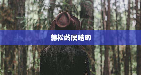 蒲松龄属啥的