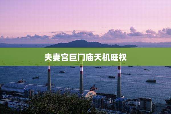 夫妻宫巨门庙天机旺权