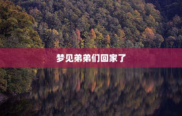 梦见弟弟们回家了