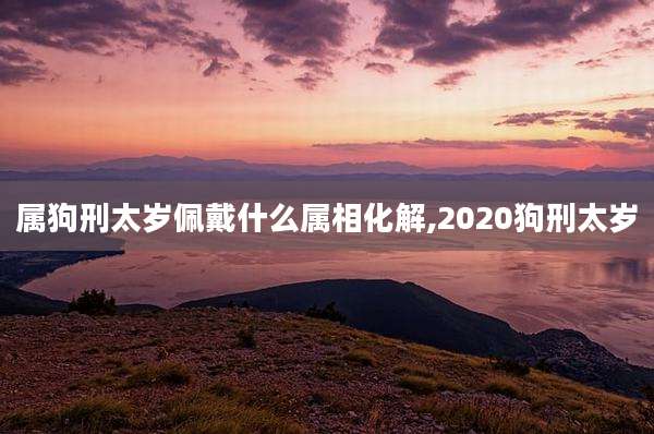 属狗刑太岁佩戴什么属相化解,2020狗刑太岁