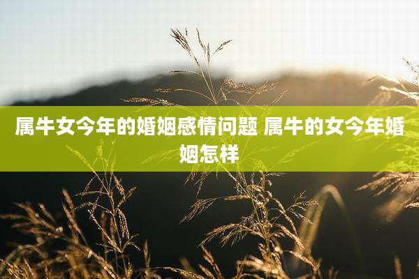 属牛女今年的婚姻感情问题 属牛的女今年婚姻怎样