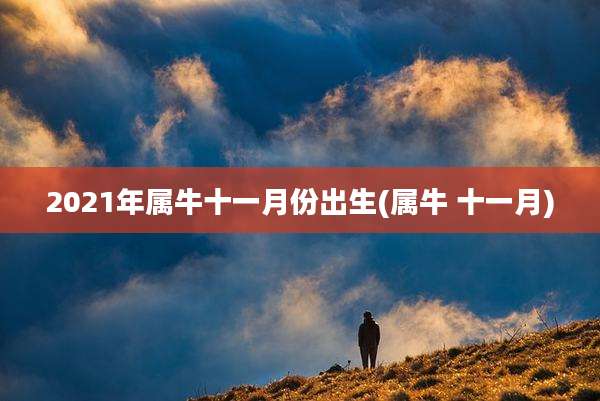2021年属牛十一月份出生(属牛 十一月)
