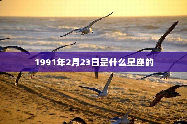 1991年2月23日是什么星座的