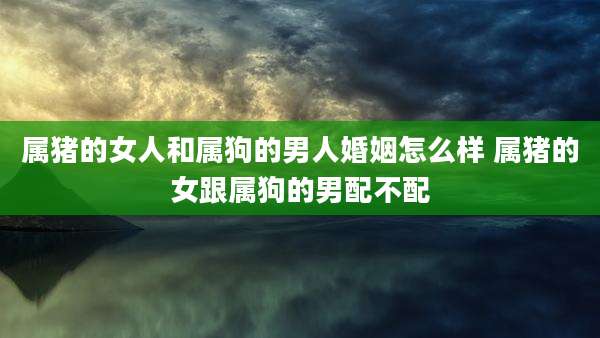 属猪的女人和属狗的男人婚姻怎么样 属猪的女跟属狗的男配不配