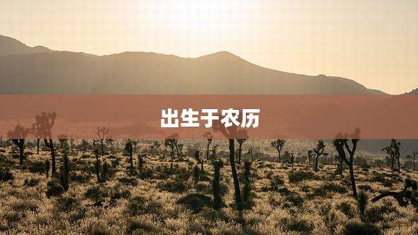 出生于农历