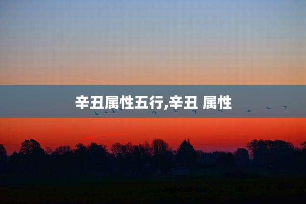 辛丑属性五行,辛丑 属性