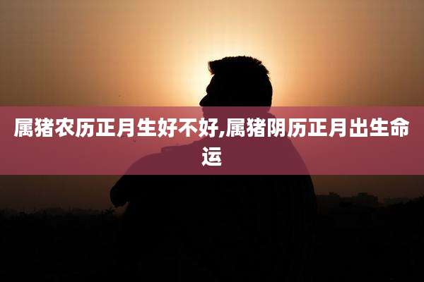 属猪农历正月生好不好,属猪阴历正月出生命运
