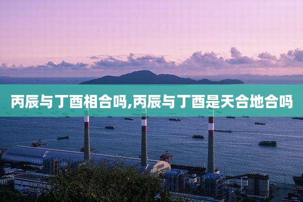 丙辰与丁酉相合吗,丙辰与丁酉是天合地合吗